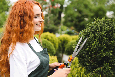 Femme qui taille un arbuste