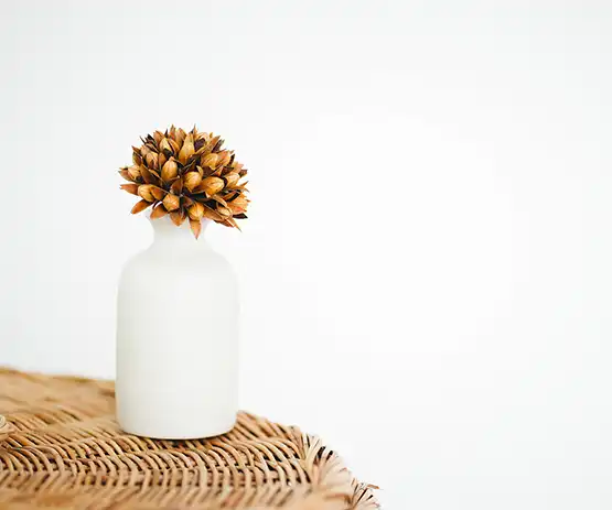 La décoration minimaliste : une tendance intérieure qui s’exporte au jardin