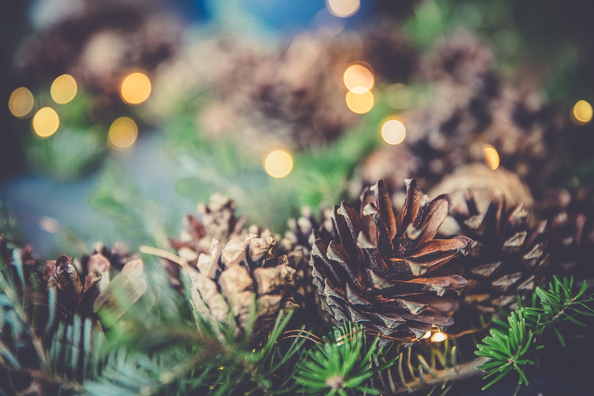 Pommes de pin et guirlande de Noël